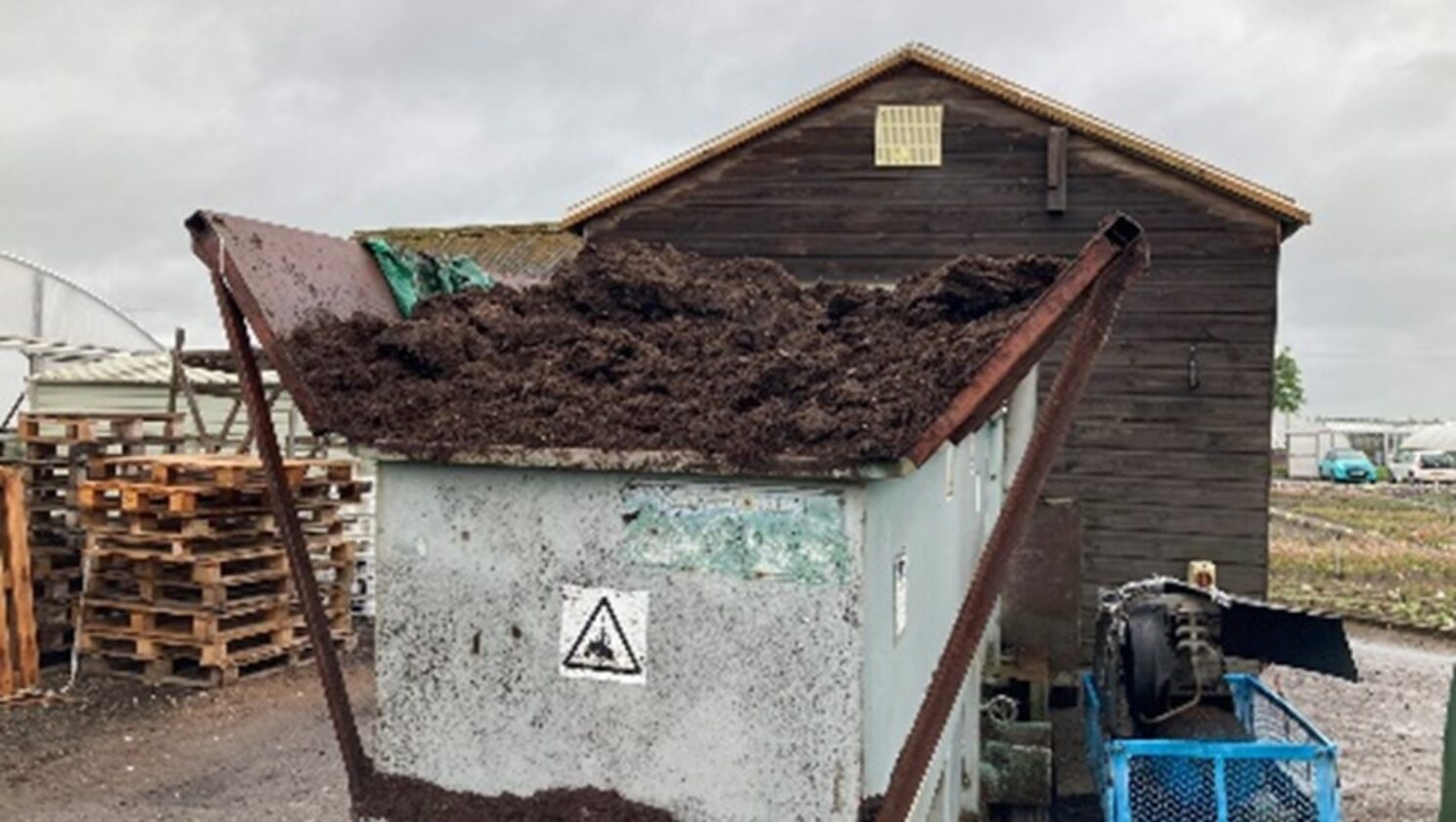 Peat-free media used in our liners and final potting
