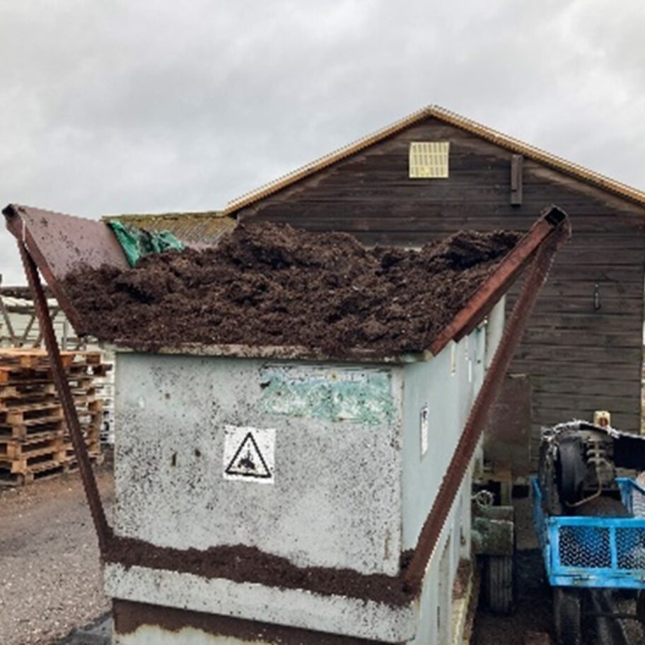 Peat-free media used in our liners and final potting