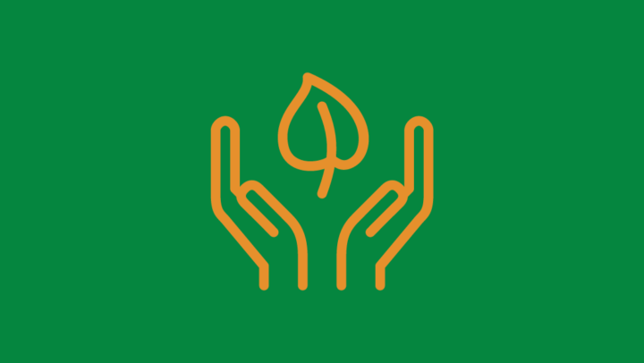 Site manager job