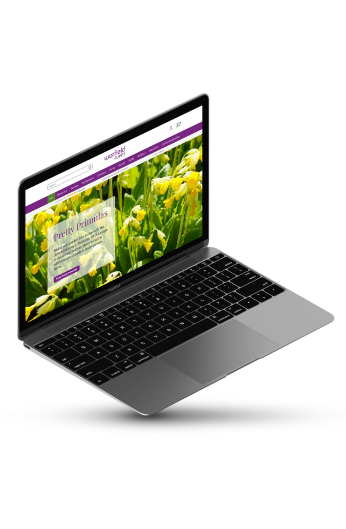 WP Product Page (Instagram Post)